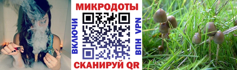 наркотики Ханты-Мансийск Псилоцибиновые грибы MAGIC MUSHROOMS